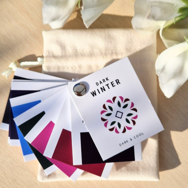 Dark Winter kleurenwaaier met diepe, koele winterkleuren – onmisbaar hulpmiddel bij het samenstellen van outfits op basis van jouw kleurtype en persoonlijke kleurenpalet.