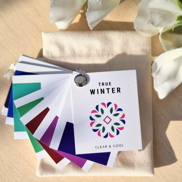 True Winter kleurenwaaier met koele, contrastrijke tinten – ideaal voor het wintertype dat op basis van kleurenanalyse en kleuradvies kleding wil shoppen in de juiste seizoenskleuren.