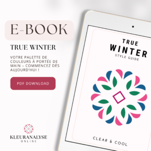 E-book True Winter avec conseils couleur et style. Ta palette de couleurs parfaite à portée de main. Télécharge le PDF.  